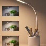 WEIRD WOLF 3 Colour Mode LED Study/Table/Desk Lamp with Pen Holder, 6 Month Warranty(Plastic, White, Pack of 1)